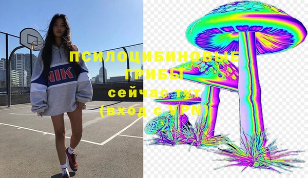ПСИЛОЦИБИНОВЫЕ ГРИБЫ Абаза
