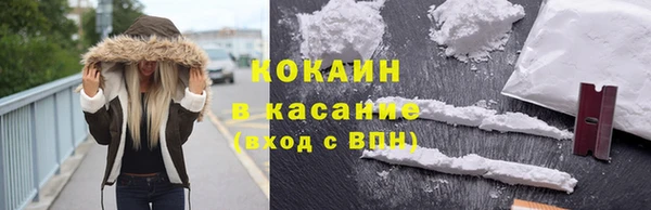 индика Каменка