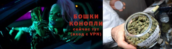 стафф Каменск-Шахтинский