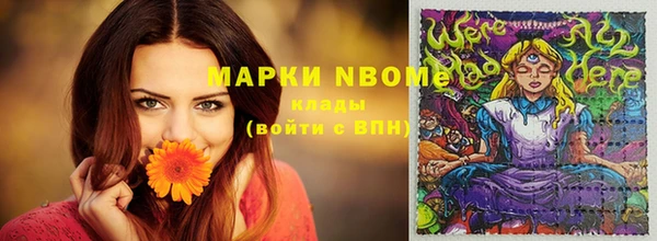 ПСИЛОЦИБИНОВЫЕ ГРИБЫ Абаза