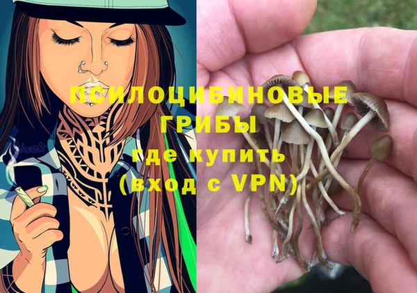 ПСИЛОЦИБИНОВЫЕ ГРИБЫ Абаза