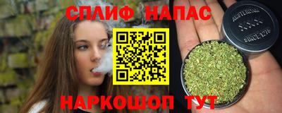 сатива Усть-Джегута