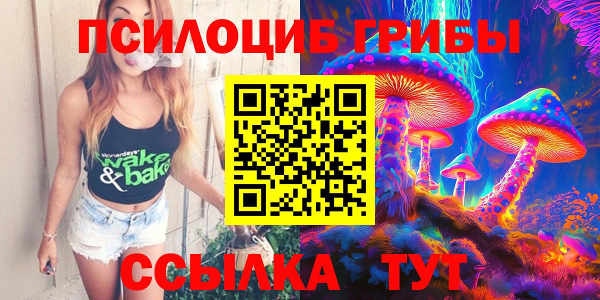 Псилоцибиновые грибы GOLDEN TEACHER Алейск
