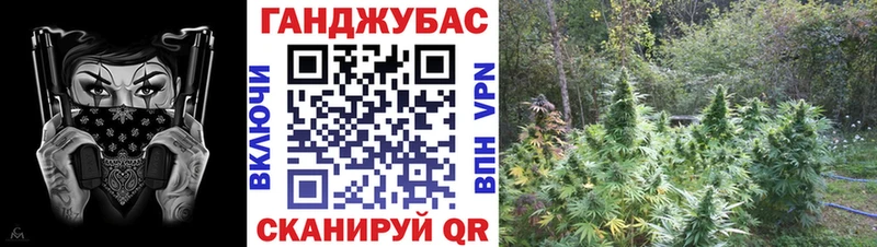 хочу наркоту  Алейск  hydra   Бошки Шишки SATIVA & INDICA 